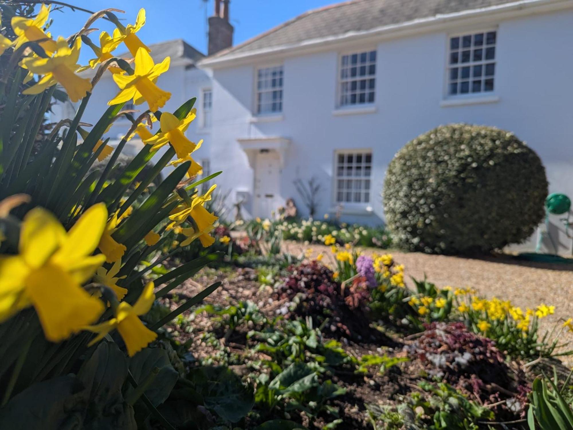 Georgian 2 Bedroom Apartment In Chichester With Free Parking - Chichester Holiday Properties Exterior photo